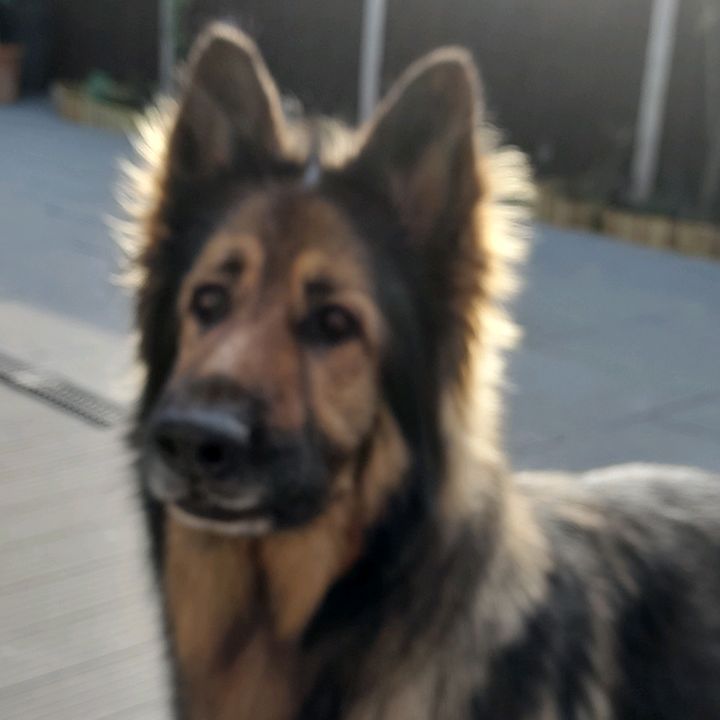 Troy is no 1