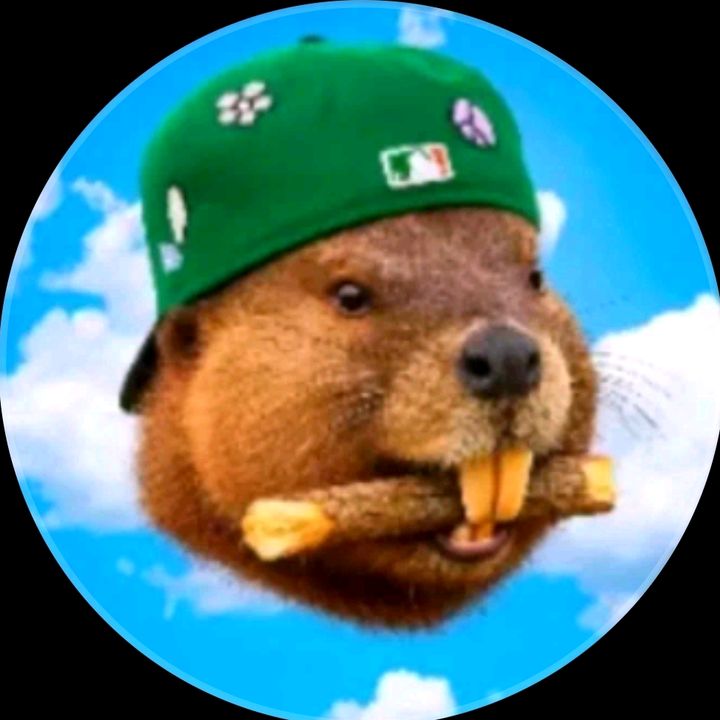 Castor7