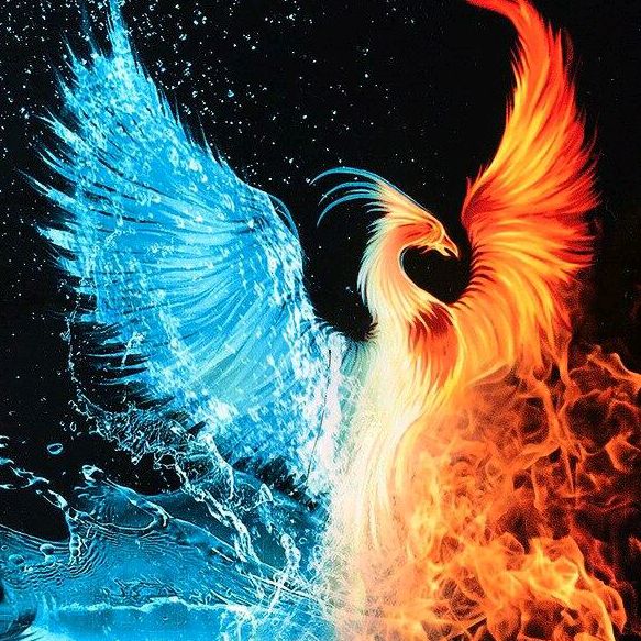 le phénix