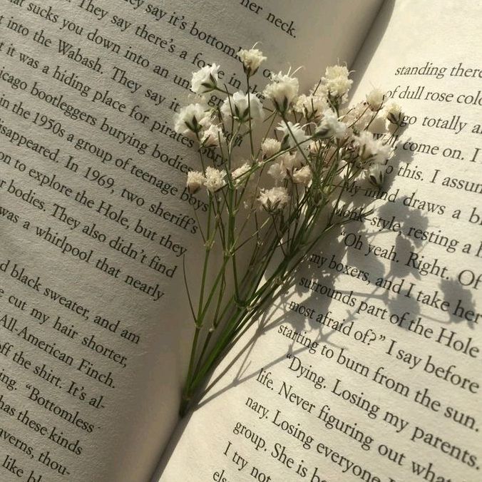 ꪀׁׅicole  ࣪ ִֶָ☾⋆📚🧚‍♀️🗡️🔮