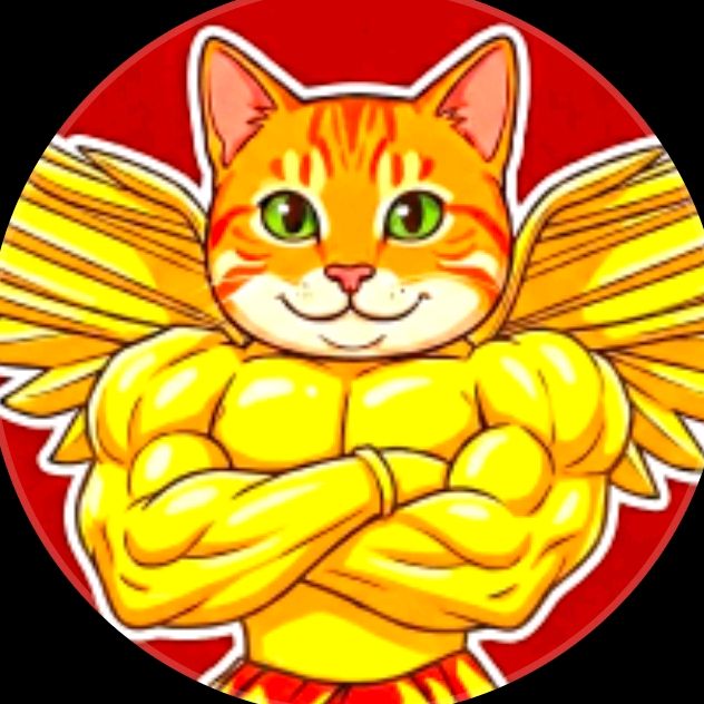 Gato Sammy