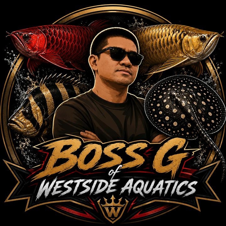Boss G of Westside Aquatics