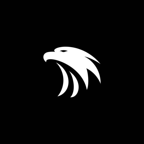 ApexMindset (Check Bio)