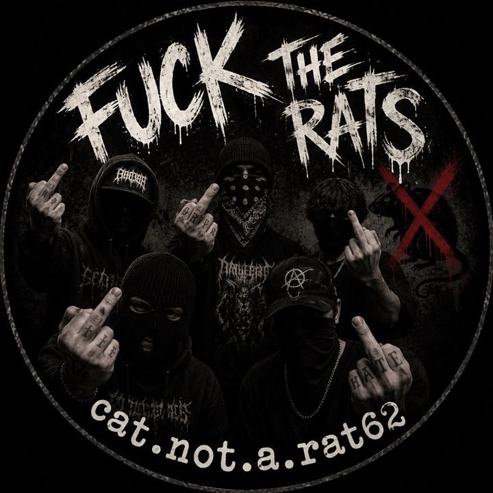 cat.not.a.rat62