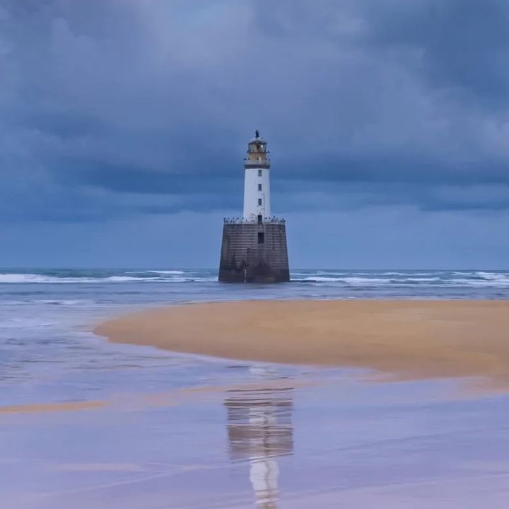 AlignToAbundance