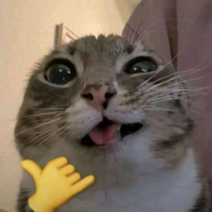 NiceClip