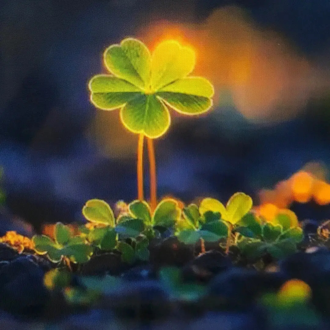 Luck good