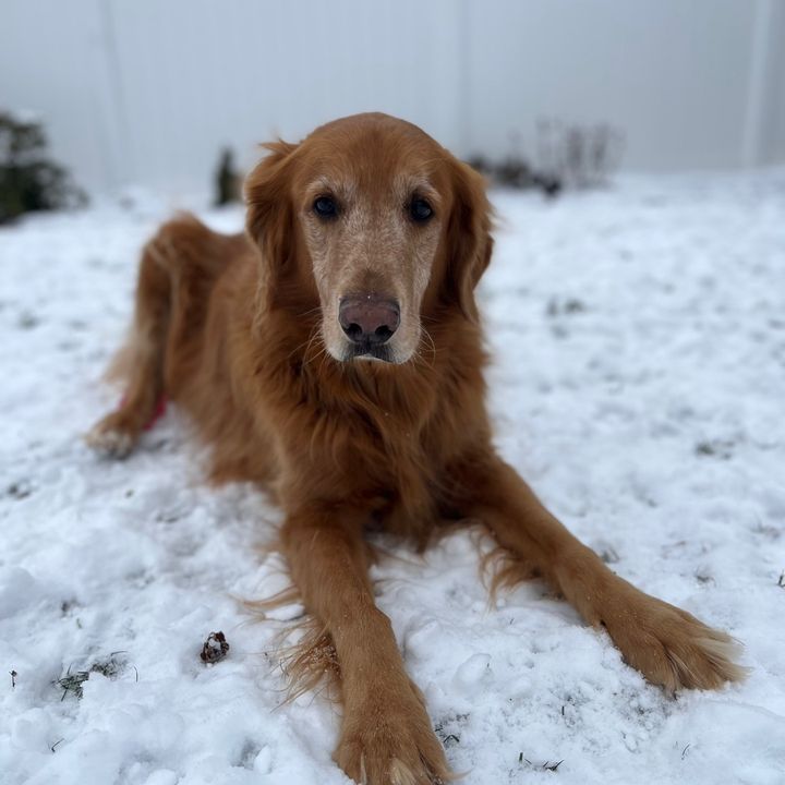 LifeOfLola130
