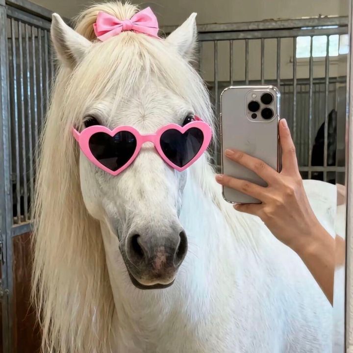 ZoeTreasure