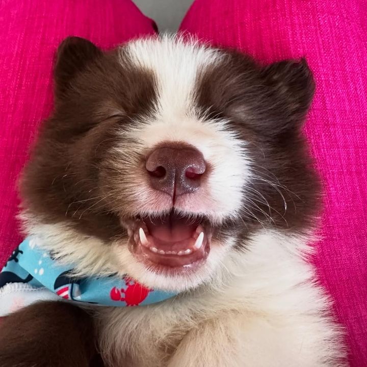 Bartolomeu Kuma