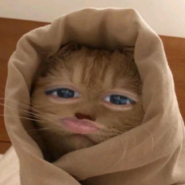 카미라룰라