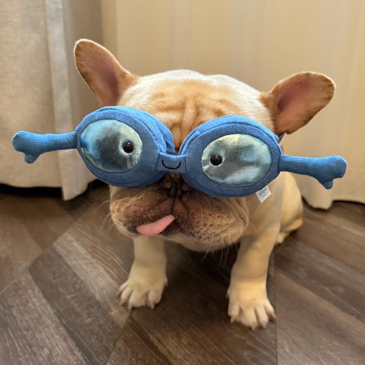 PawJoy