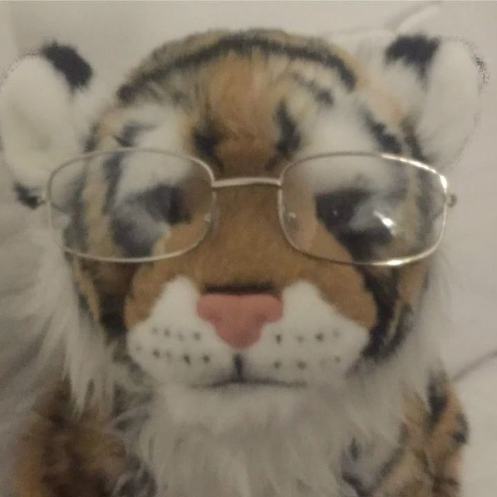 cateyebag