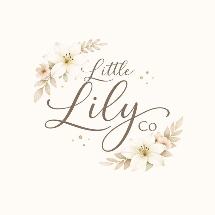 LittleLilyCo