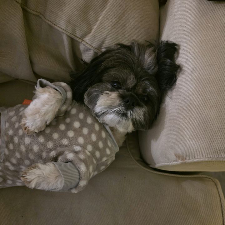 Spencer