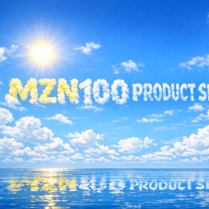 MZN100