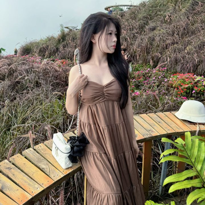 Phuong Anh Dao