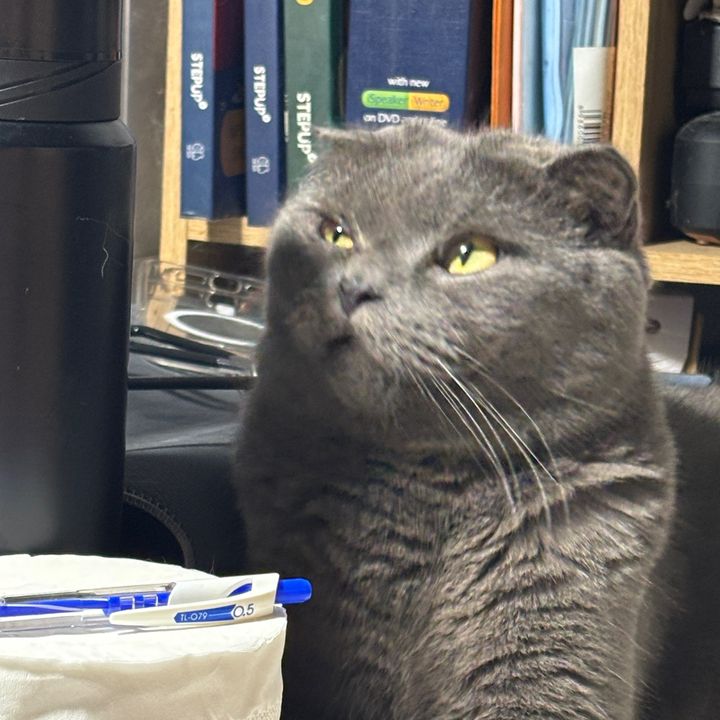 Catmeow
