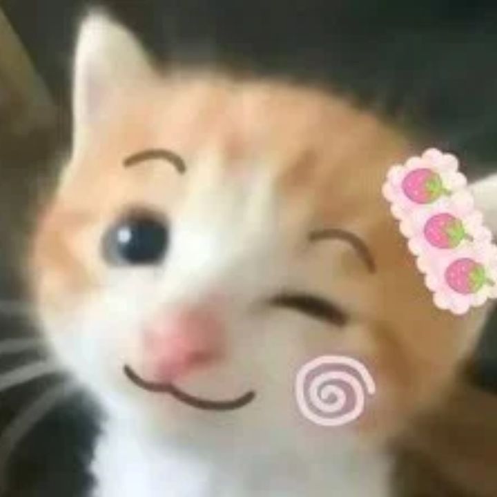 Gentle Play Time