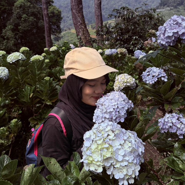 Hobi nyemil
