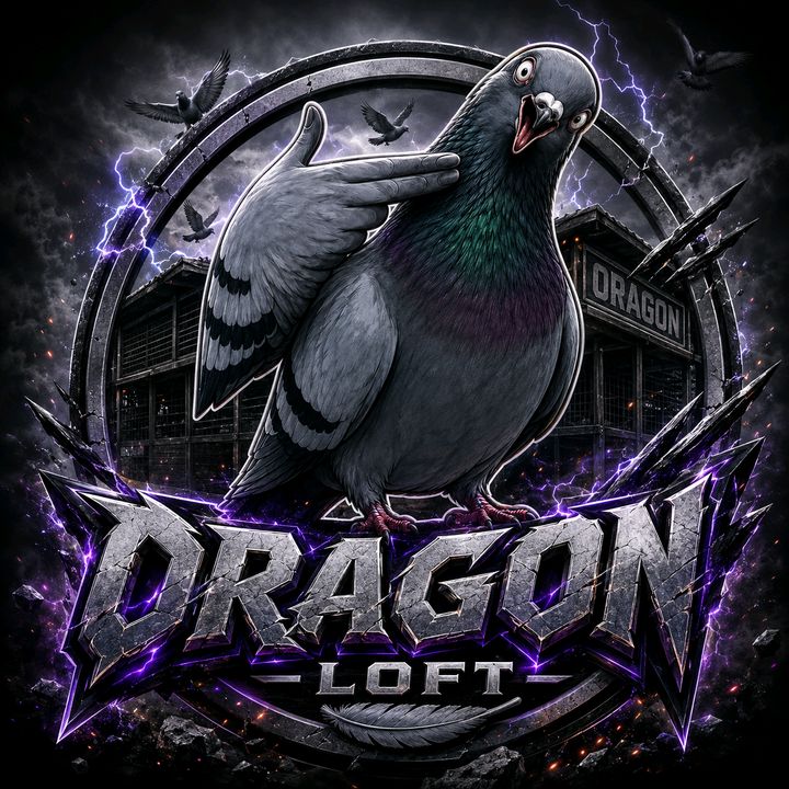 ORAGON LOFT