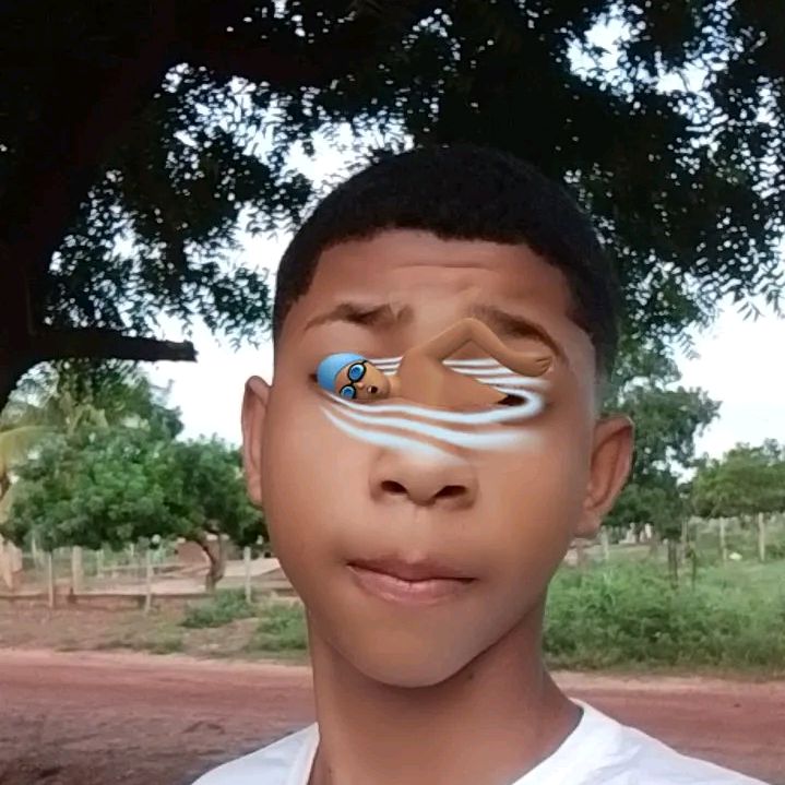 mikael_ws