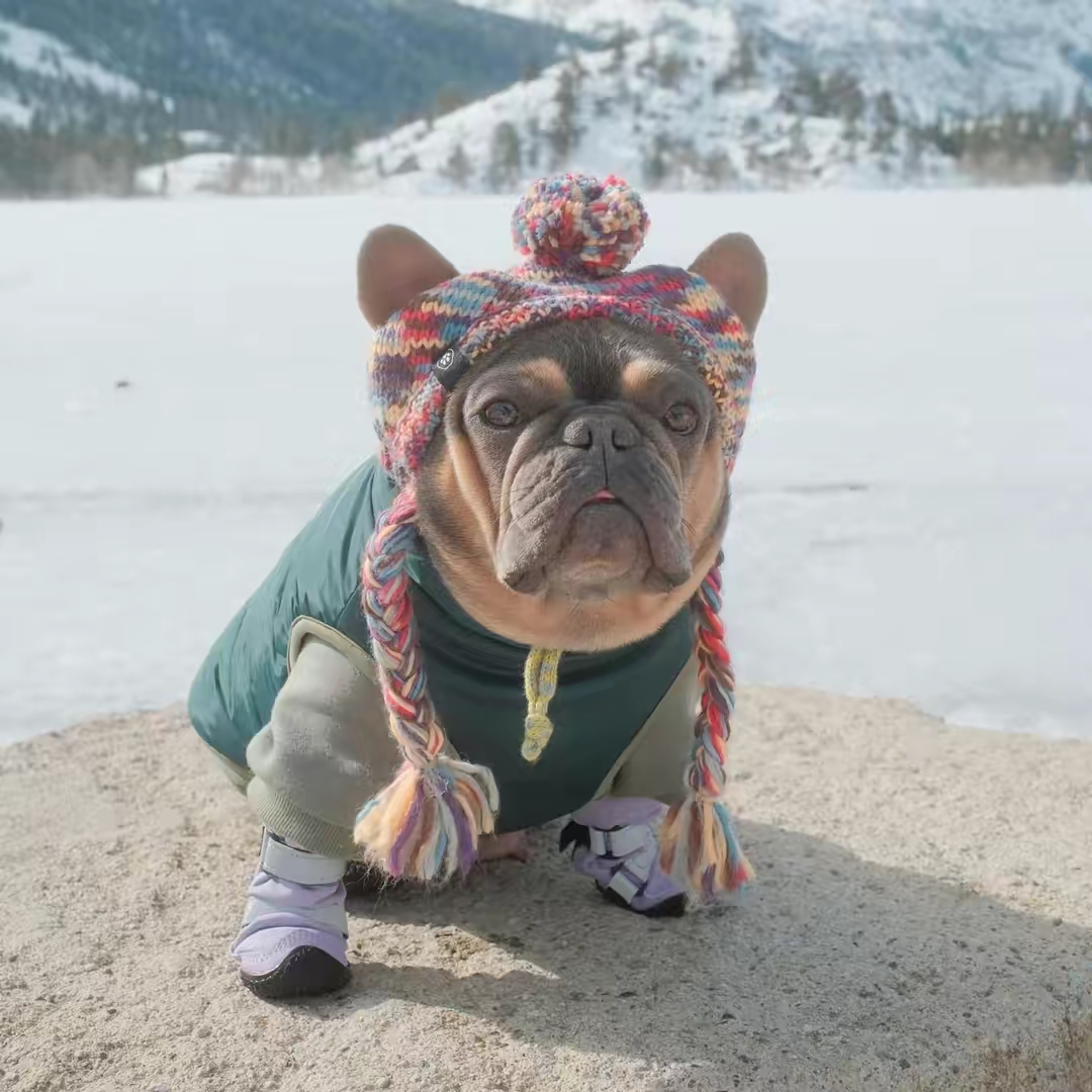 𝓛𝓮𝓲𝓪𝓫𝓾𝓫𝓾 🐾