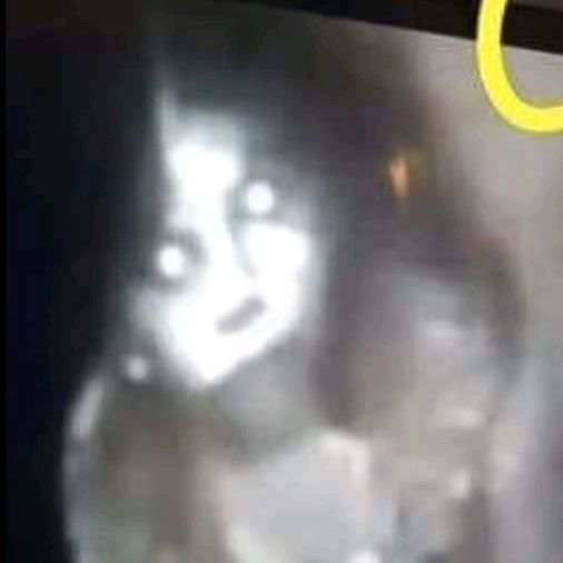 paranormal