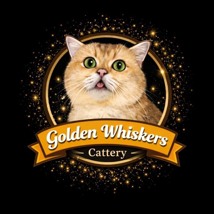 goldenwhiskers_cattery