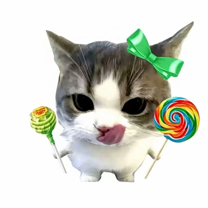 I love TikTok