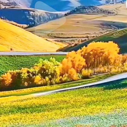 Inara Nuraini