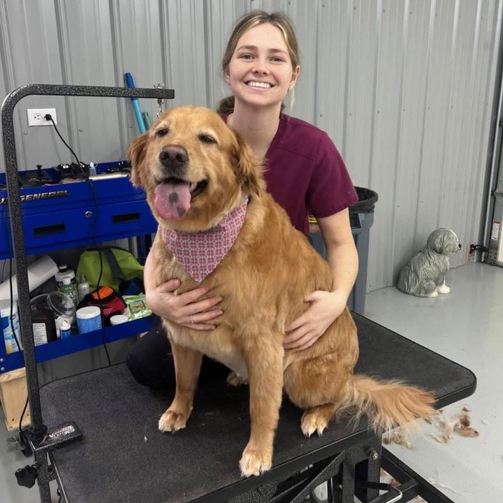 Ry’s Dog Grooming