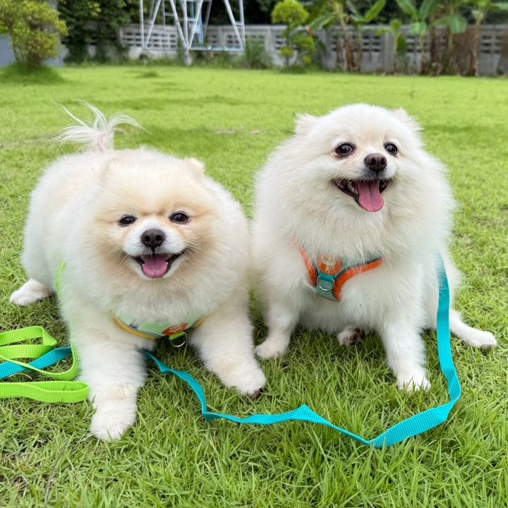 สิบล้าน&ปอร์เช่วัยรุ่นข้าวแช่
