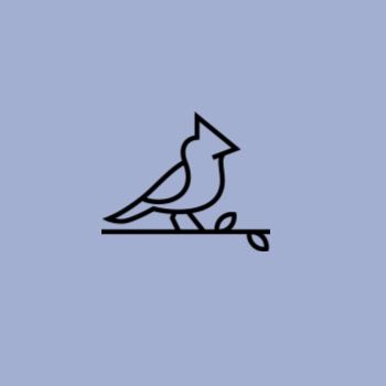 RIBirdBuddy