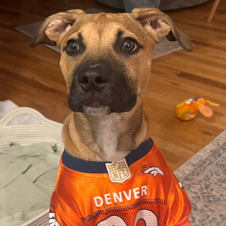 Donovan