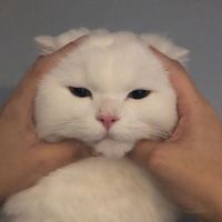 user13601015193