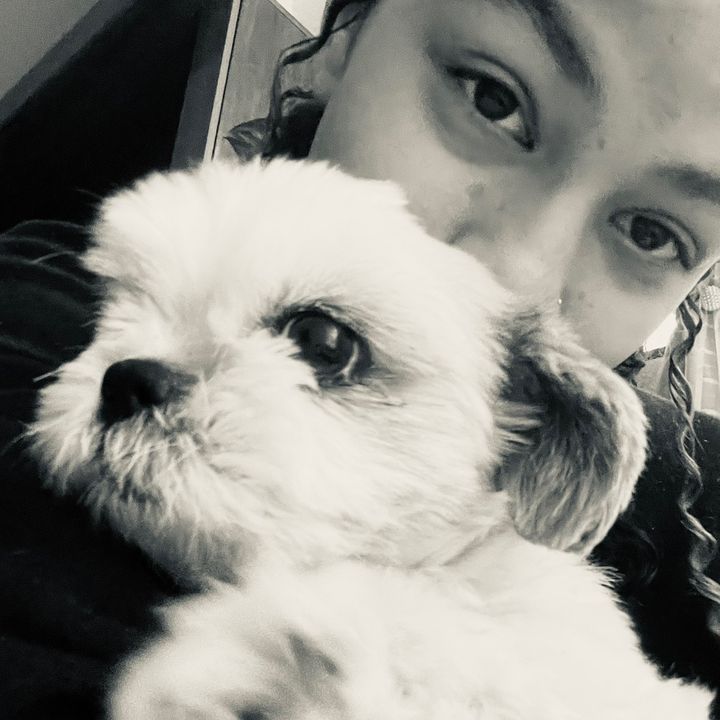 daylidamaduz