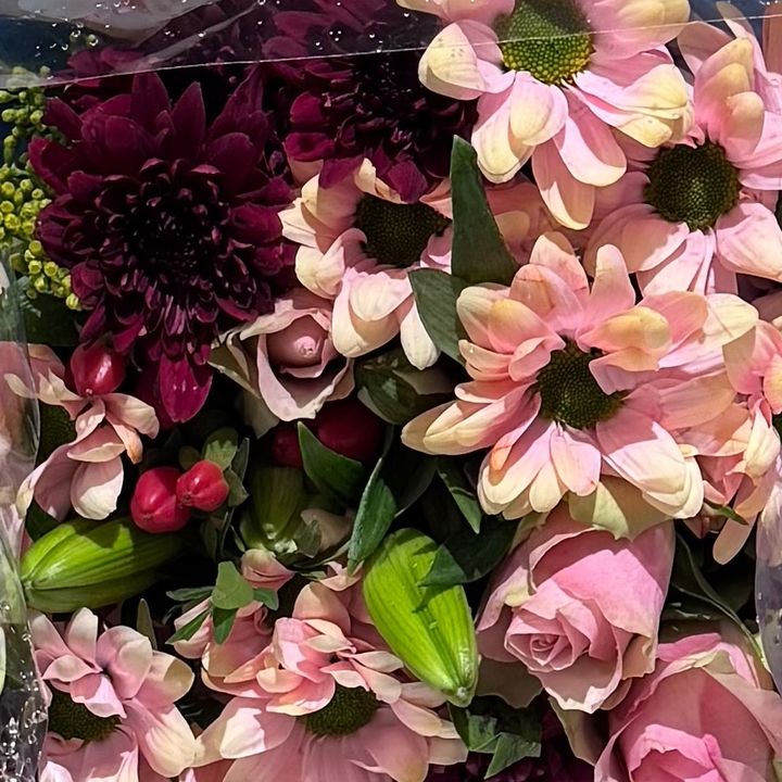barbaraellatheseller