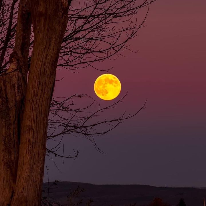 LUNA🌙