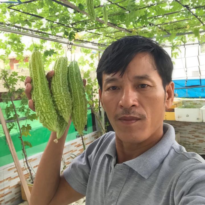 Nhựt vái