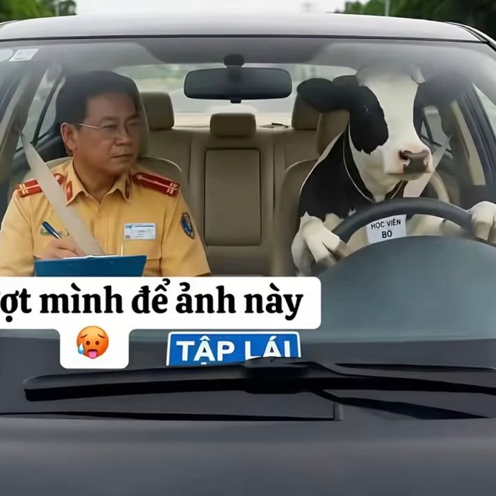 Cậu Mỡ 🇻🇳🇯🇵
