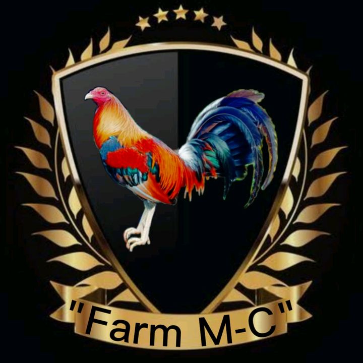 Young_Bloo_FARM