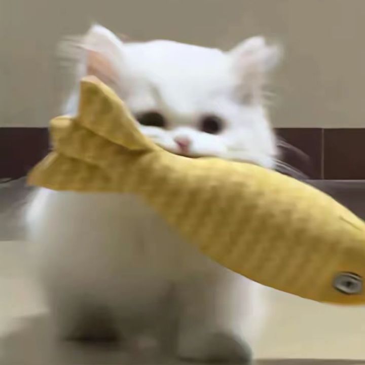 Shush