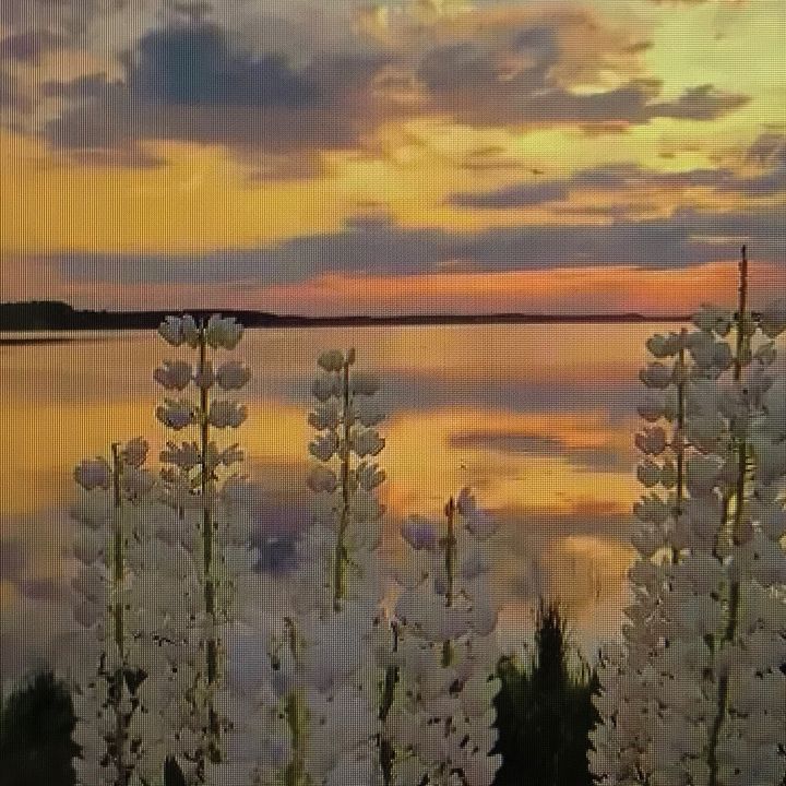 Calm.
