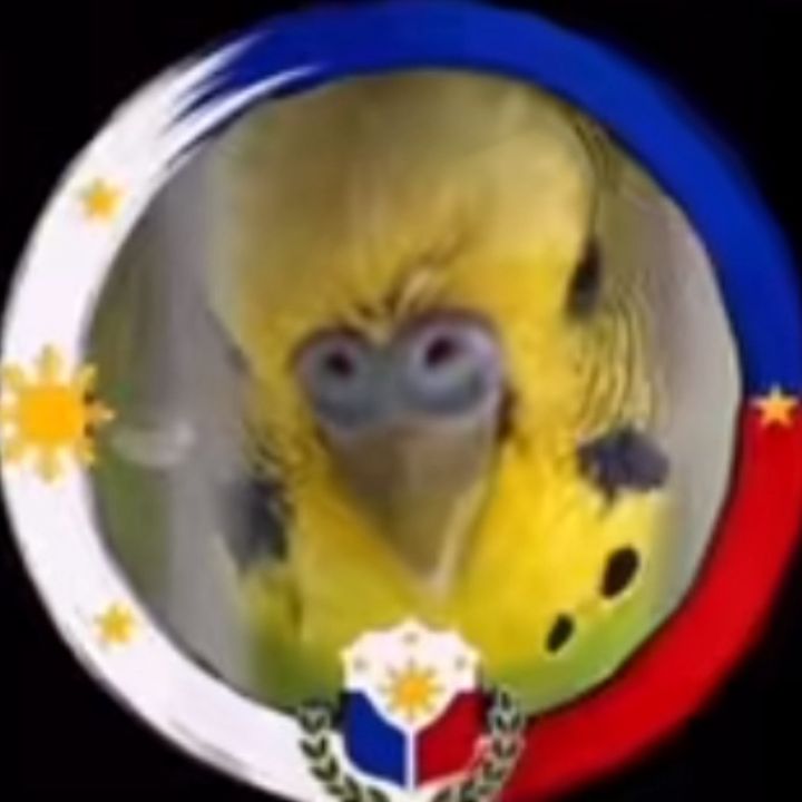 ❤️🦜metromint mio’s tiktok🦜❤️