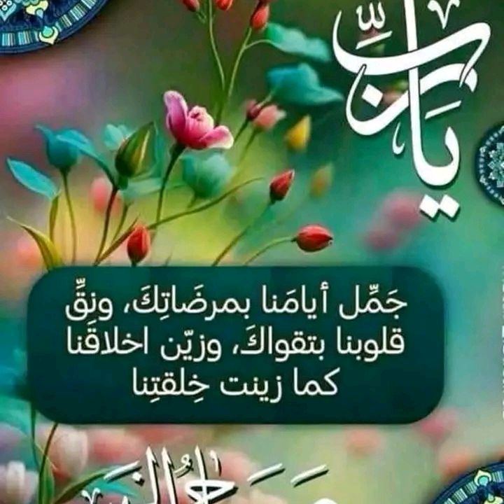 hussenalaamoud