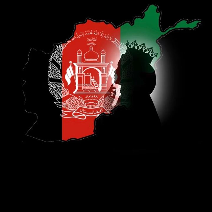 نــرگــس