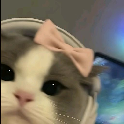 🐳🐟🪼🪸