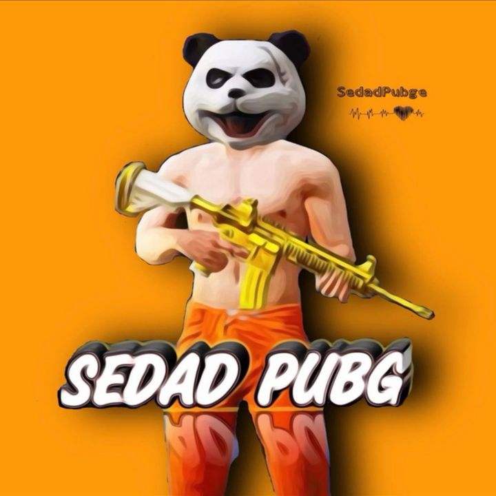 SEDAD危