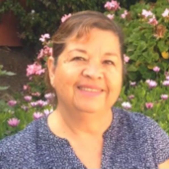 lalichaysuscolibries